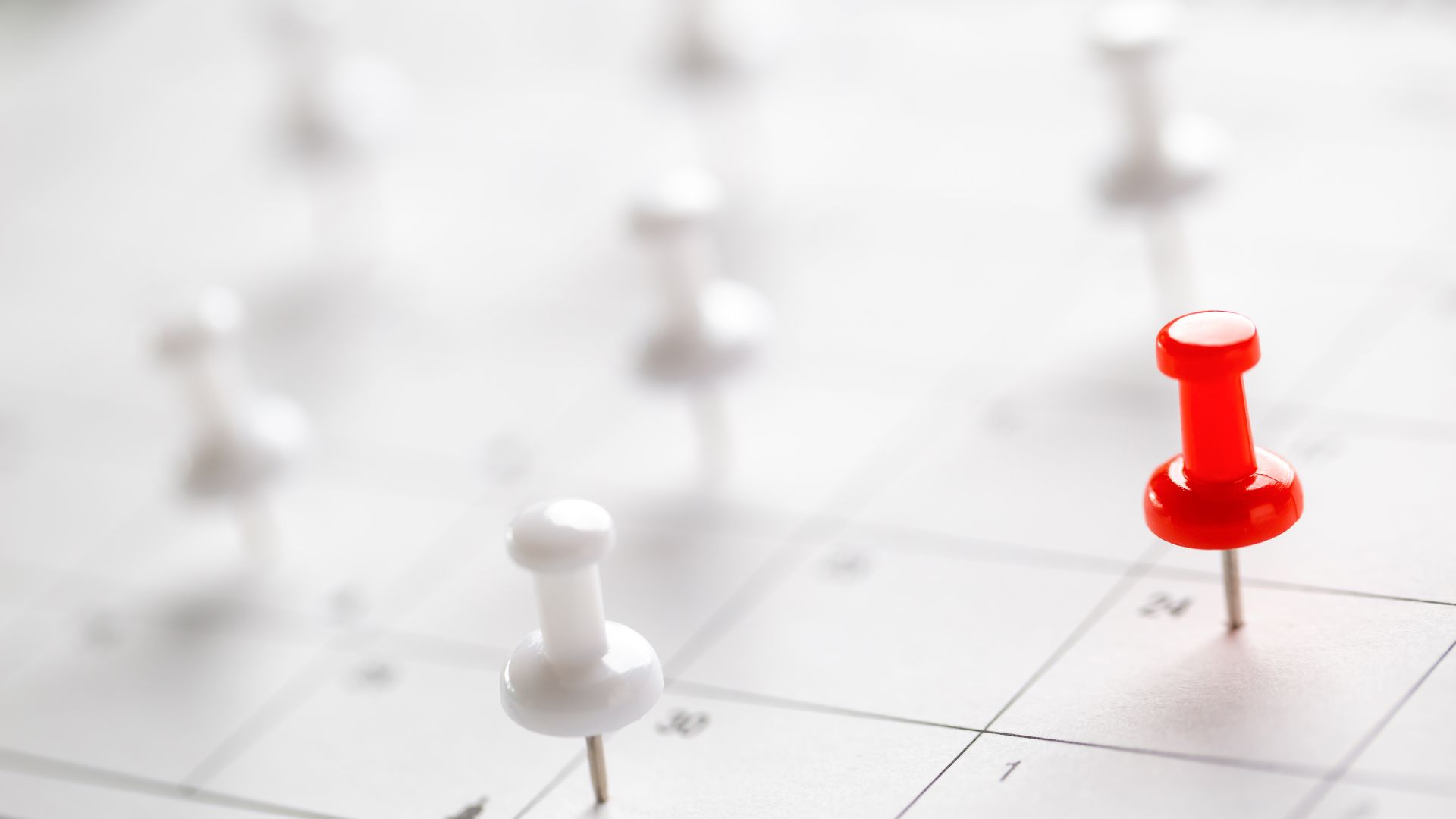 milestone project management